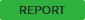 REPORT