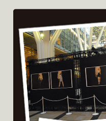 BACKSTAGE/Front row イメージ画像