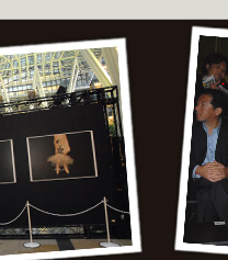 BACKSTAGE/Front row イメージ画像